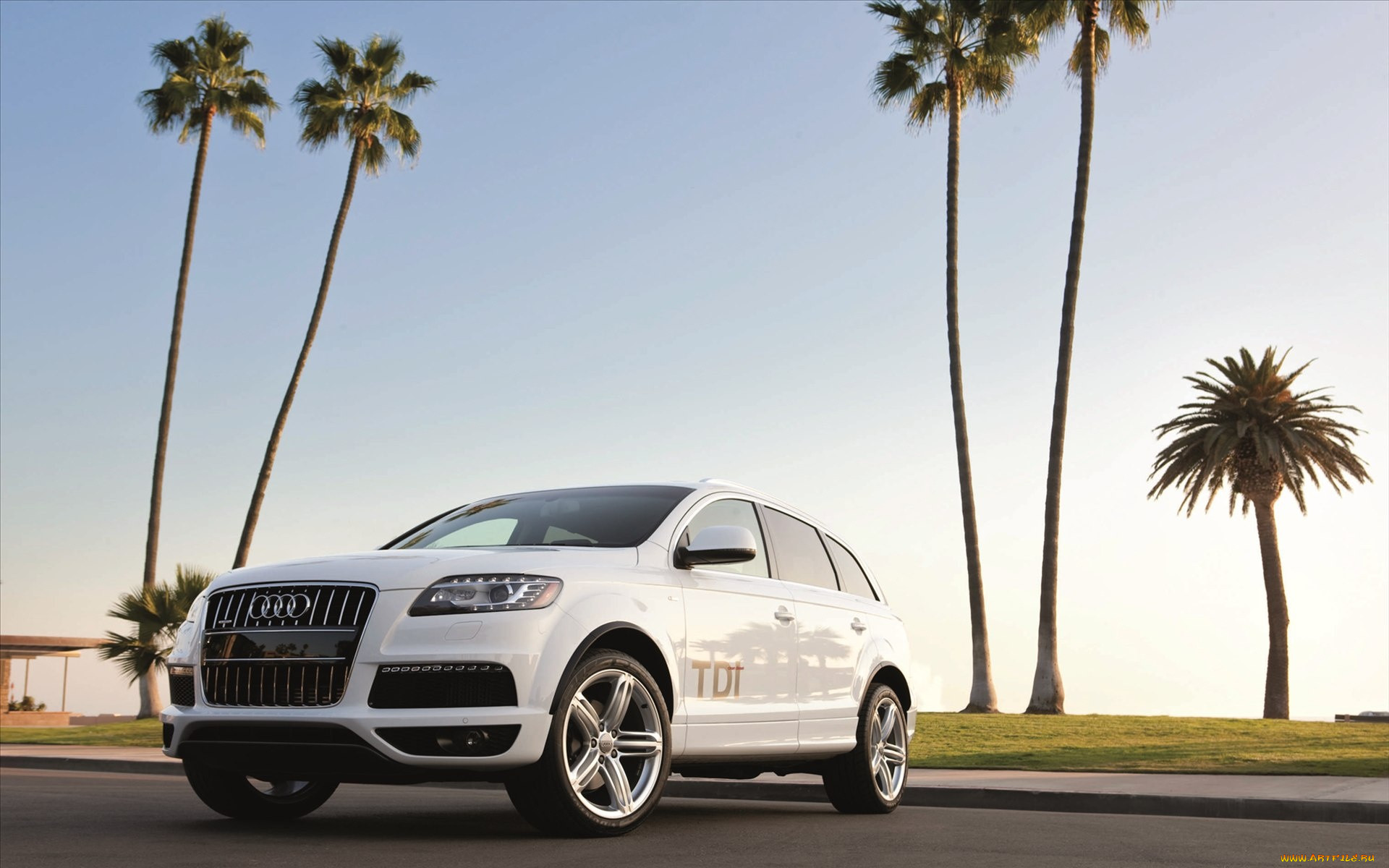 , audi